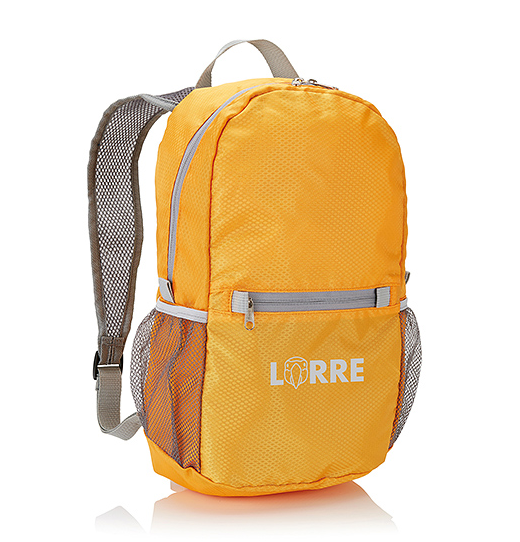 맞춤형 로고가 있는 프로모션 방수 경량 접이식 하이킹 백팩