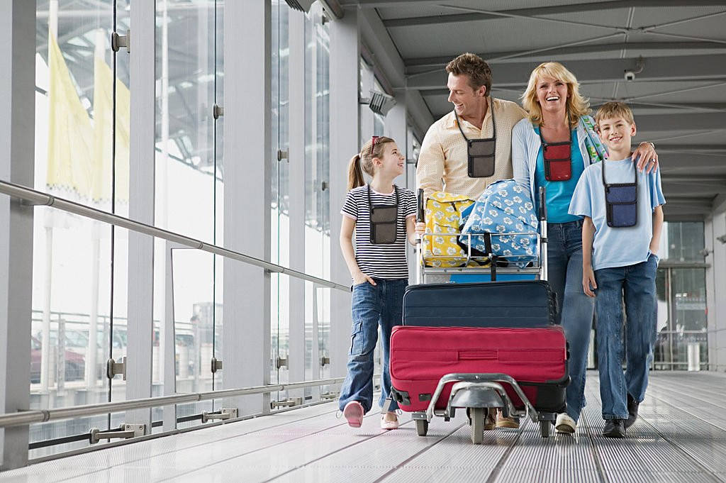 Porte-passeport RFID Safe The Classic Neck Travel Passport Wallet