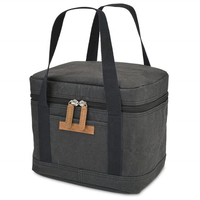 waterproof kraft paper lunch cooler bags thermal insulated travel camping tote lunch bags for school kids